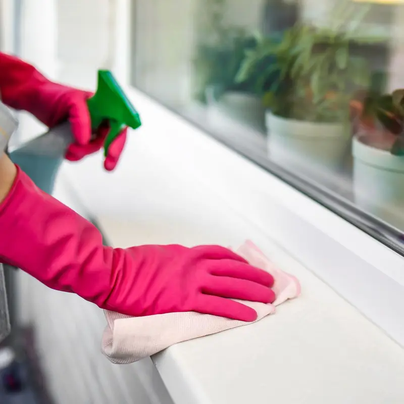 Gloved hands wiping a windowsill beside pot plants